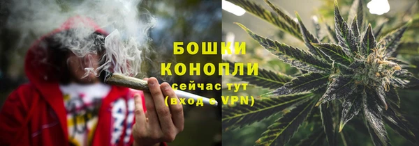 ПСИЛОЦИБИНОВЫЕ ГРИБЫ Арсеньев