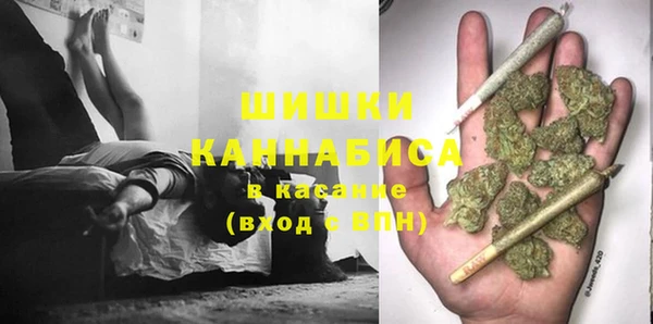 ПСИЛОЦИБИНОВЫЕ ГРИБЫ Арсеньев