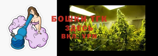 дмт Аркадак