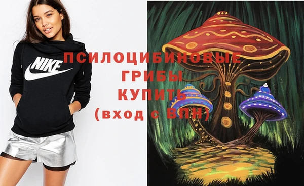 ПСИЛОЦИБИНОВЫЕ ГРИБЫ Арсеньев
