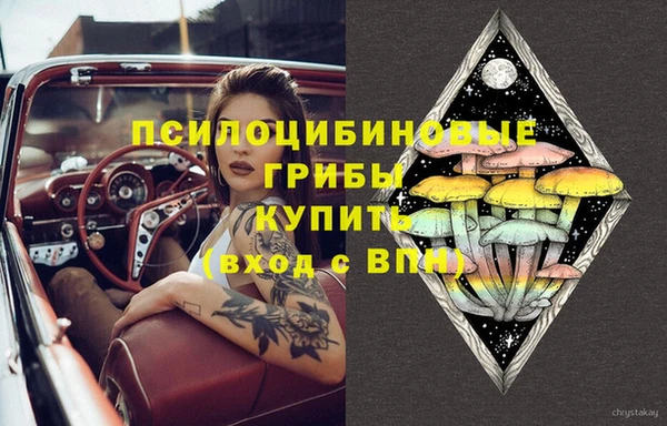дмт Аркадак