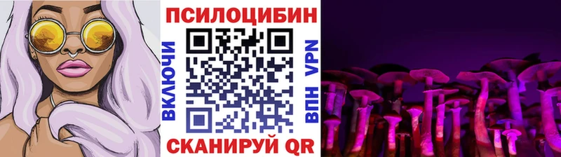 Галлюциногенные грибы Psilocybe  продажа наркотиков  Змеиногорск 